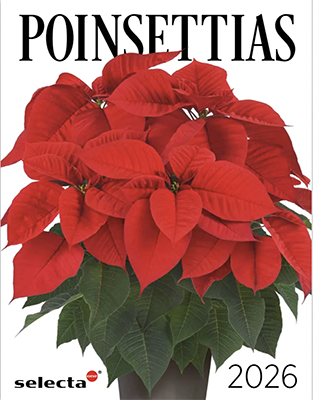 Now Available: 2026 Selecta One® Poinsettias Catalog