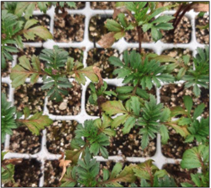 Water Quality Deep Dive – Understanding Alkalinity