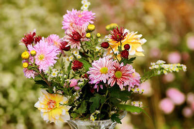 Cut Flower Choices for Retail Garden Centers