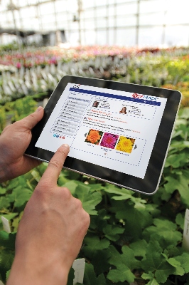 Handheld tablet in a greenhouse