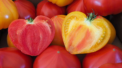 Red tomato cut in half with other tomatoes