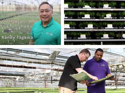 Plants ready to ship and people in a greenhouse