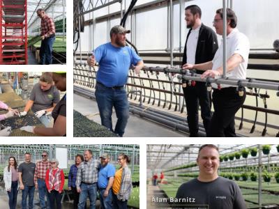 Collage of people working in a greenhouse