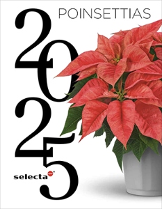 Cover of a catalog with a red poinsettia