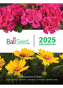 2025 Ball Seed<br>New Varieties