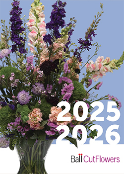 2025-2026<br>Ball Cut Flowers