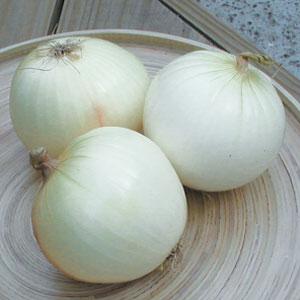 White Sweet Spanish Onion - Bloom