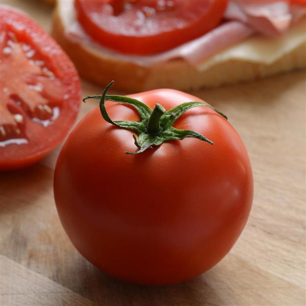 Stellar Tomato - Container