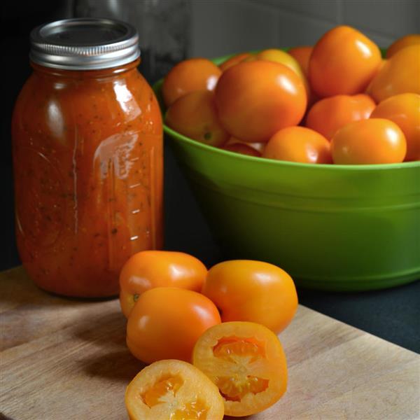 Sunrise Sauce Tomato - Container