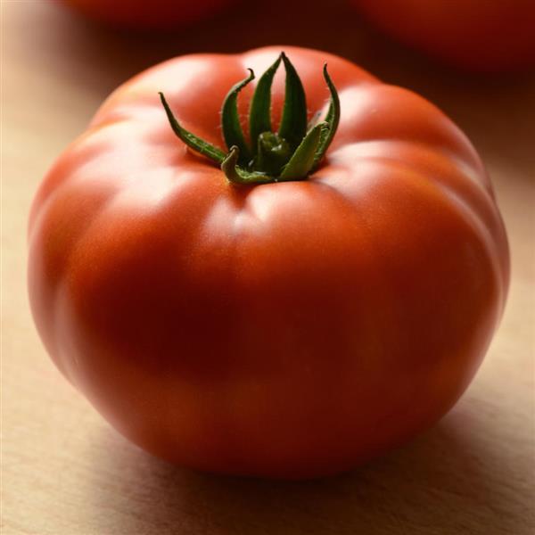 Heirloom Marriage™ Genuwine Tomato - Bloom