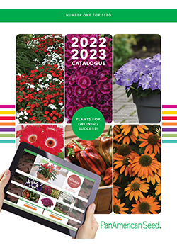 2022 seed catalogs 2023 catalog brochures ballseed