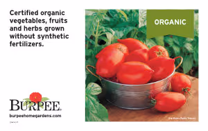 Bench Card - Organic