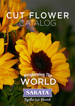 2022 Sakata Cut Flowers Catalog