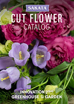2023-2024 Sakata Cut Flowers Catalog