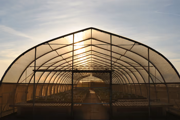 grower greenhouse