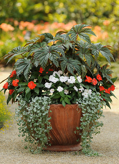 Shade Containers