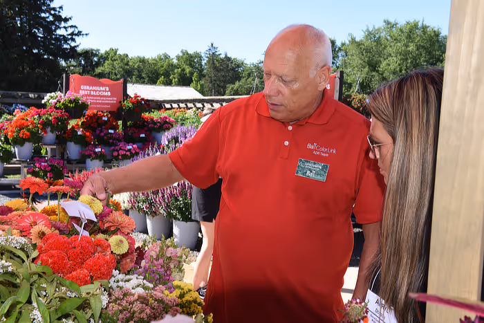 Expert advice from the Cut Flowers team