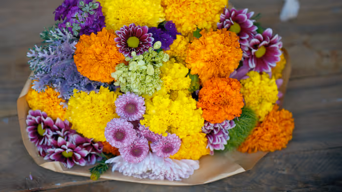 Bouquet of cut flowers