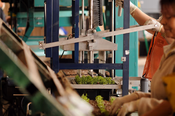 Greenhouse equipment photo