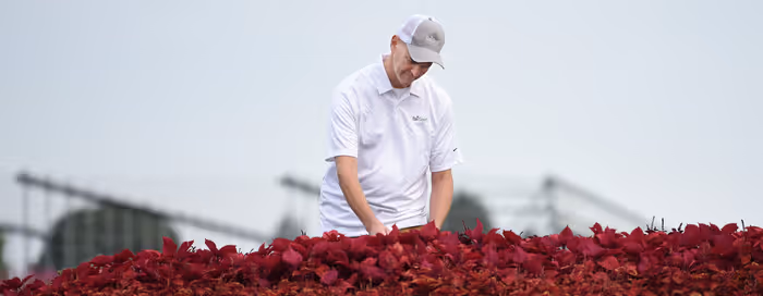 Working with landscape