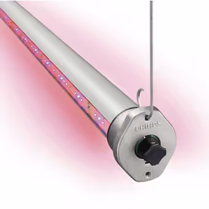 GreenPower LED Interlighting