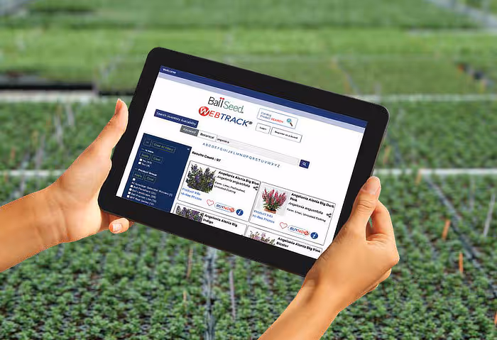 WebTrack on iPad photo