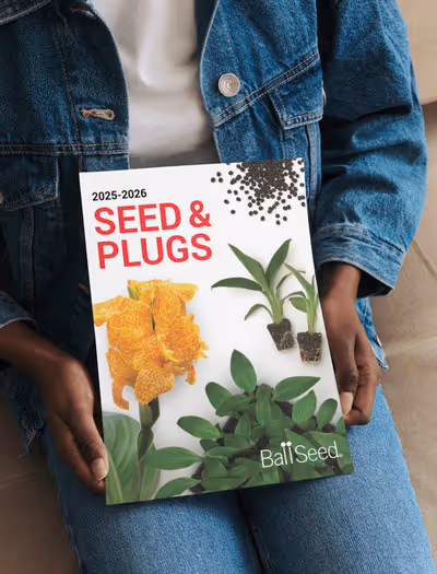 Catalogs & Brochures image