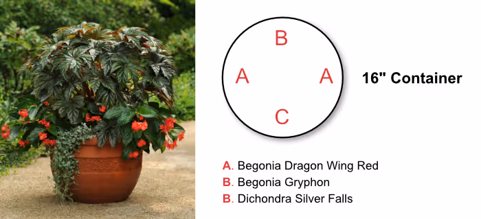 Container recipe for 16" pot