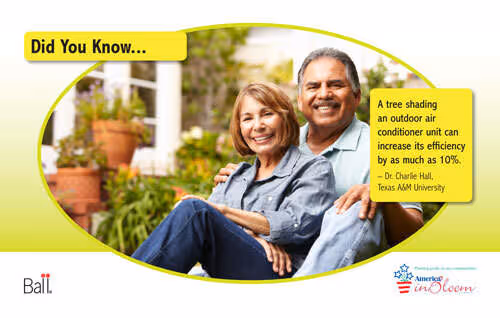 Benchcard  Shade the House