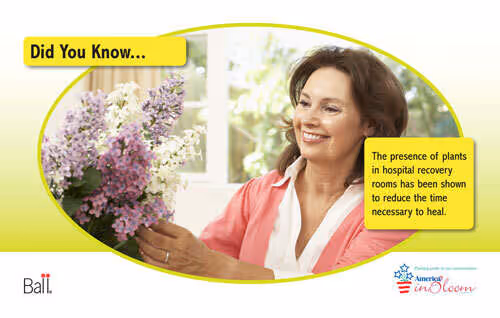 Benchcard Help with Healing