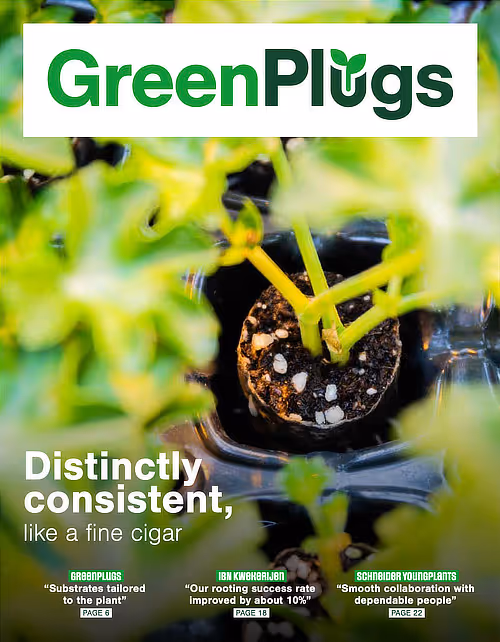 GreenPlugs brochure cover